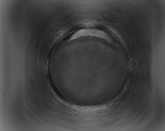 X0000052630018200507160142