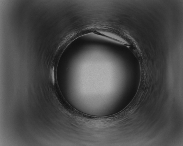 X0000052630020200507160142