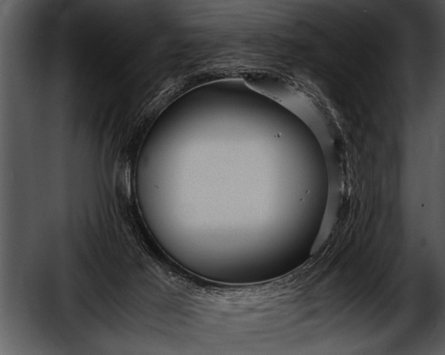 X0000052630021200507160142