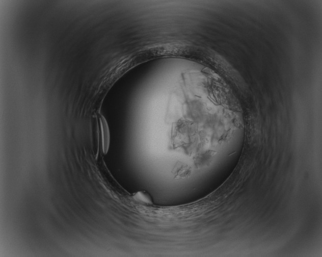 X0000052630022200507160142