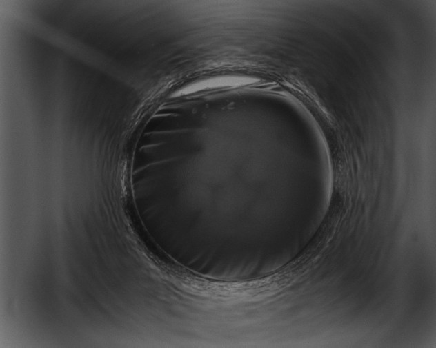 X0000052630023200507160142