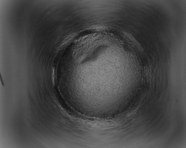 X0000052630024200507160142