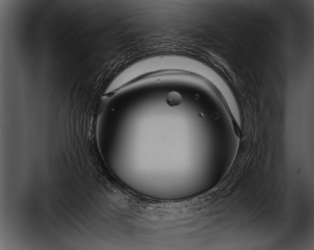 X0000052630025200507160142