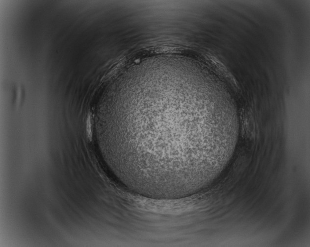 X0000052630026200507160142