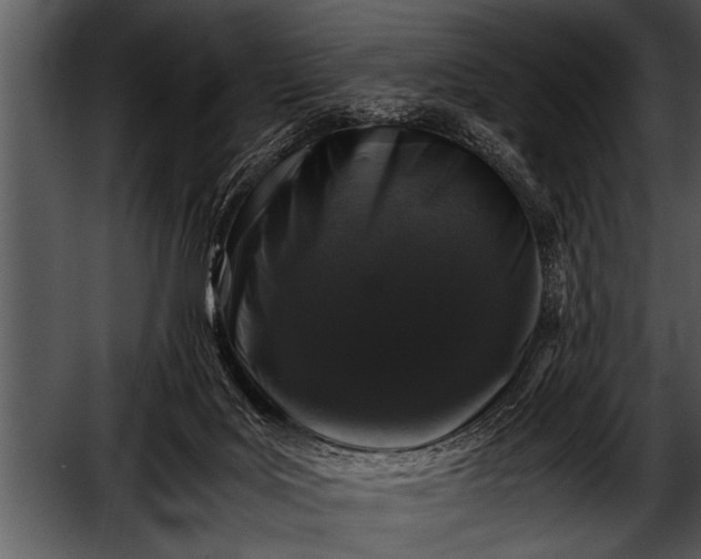 X0000052630027200507160142