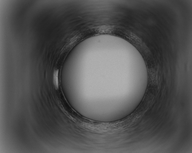 X0000052630028200507160142