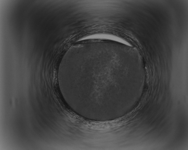 X0000052630029200507160142