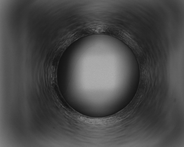 X0000052630030200507160142