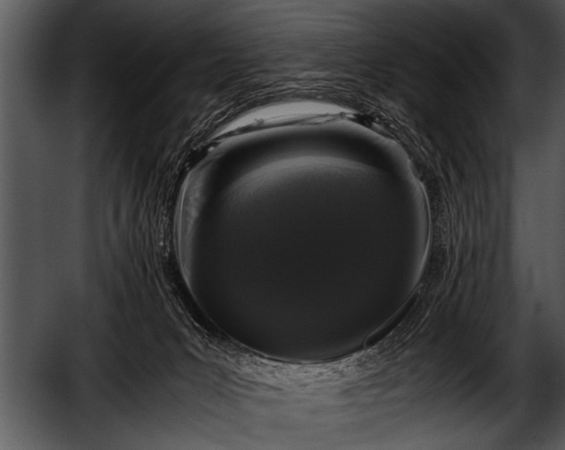 X0000052630031200507160142