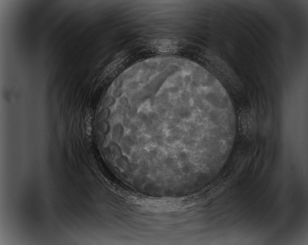 X0000052630032200507160142