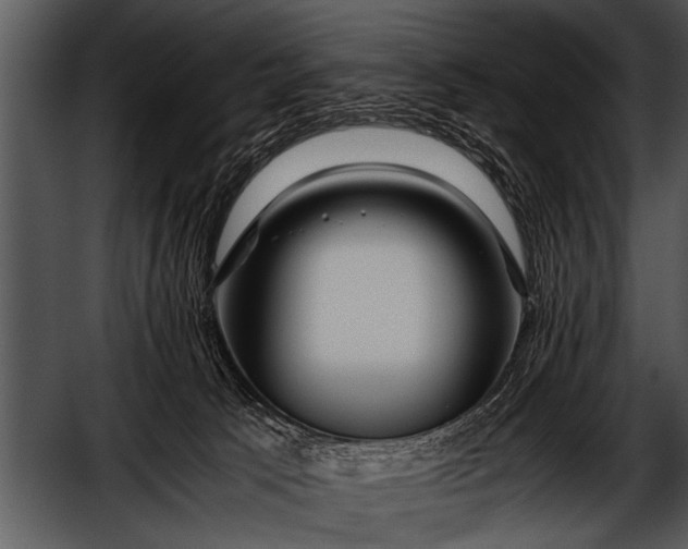 X0000052630033200507160142