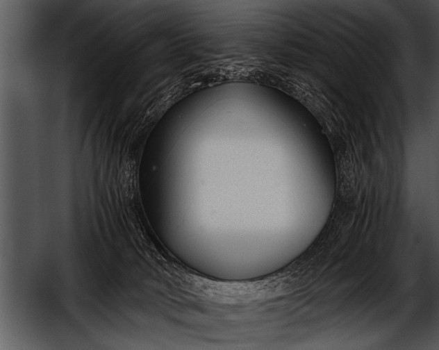 X0000052630034200507160142