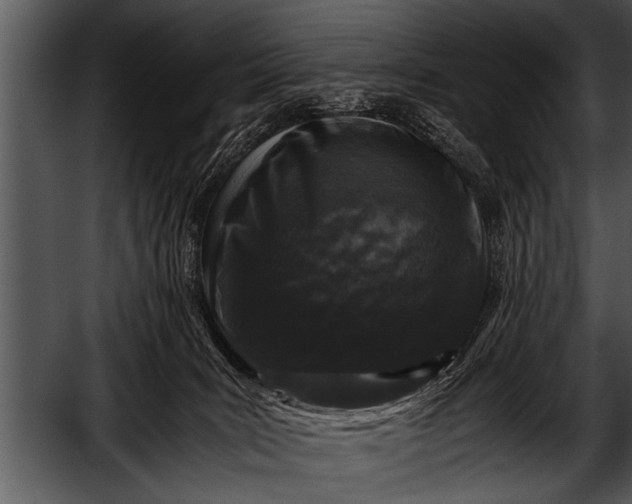 X0000052630035200507160142