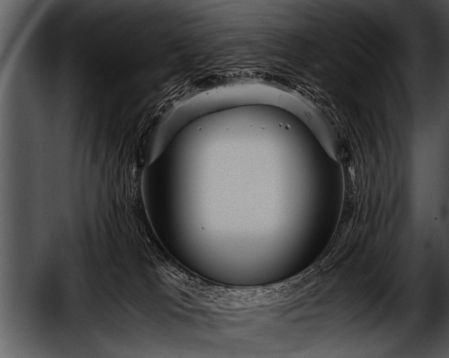 X0000052630037200507160142