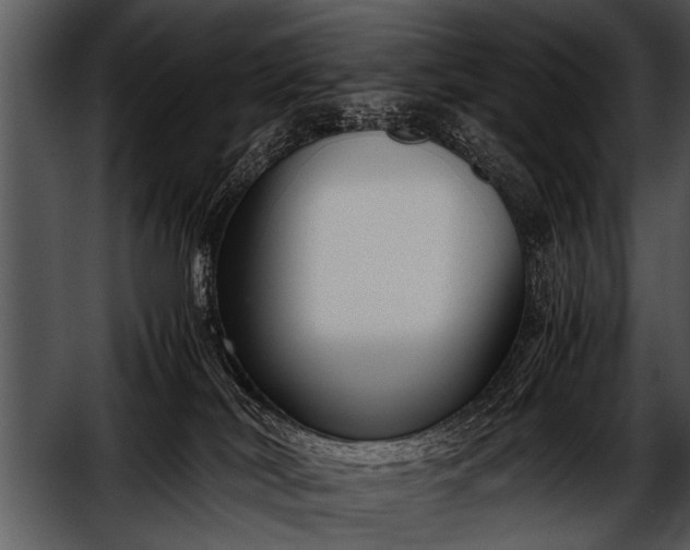 X0000052630038200507160142