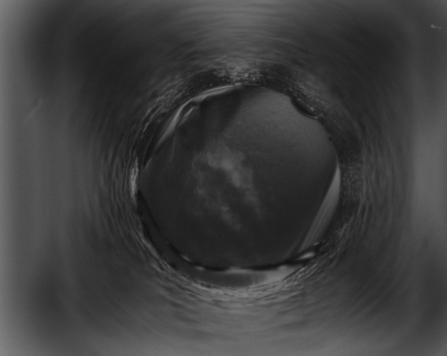 X0000052630039200507160142