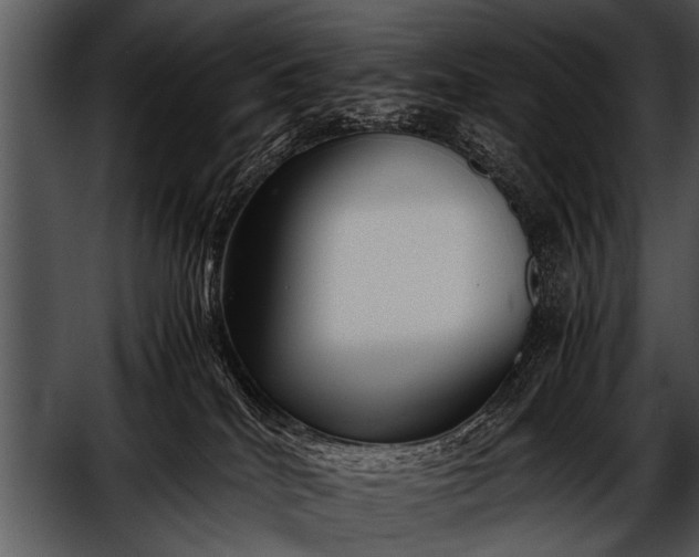 X0000052630040200507160142