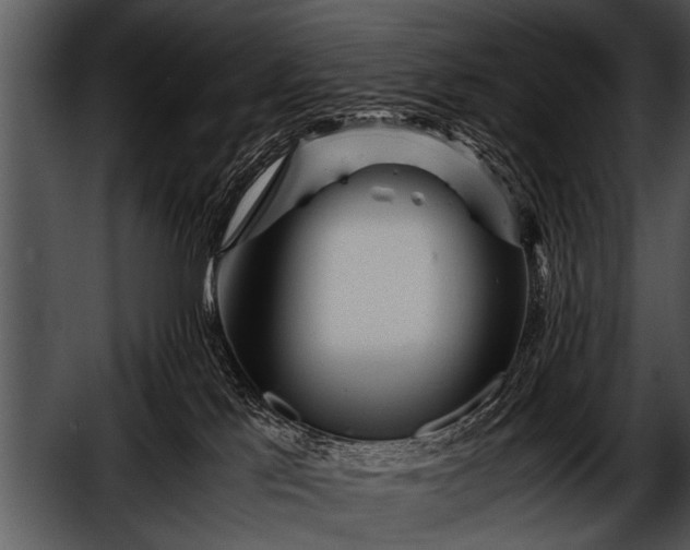 X0000052630041200507160142