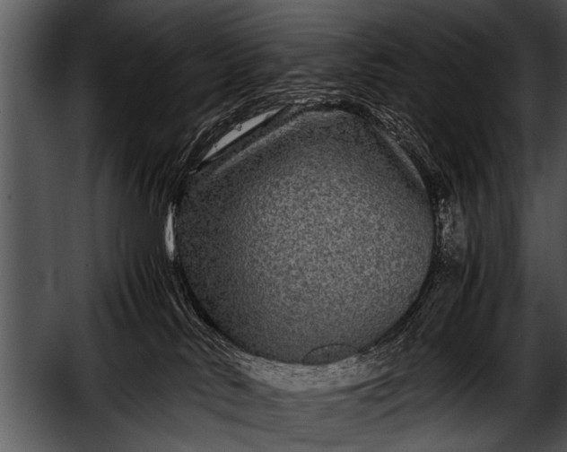 X0000052630042200507160142