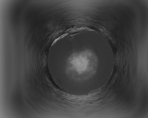 X0000052630043200507160142