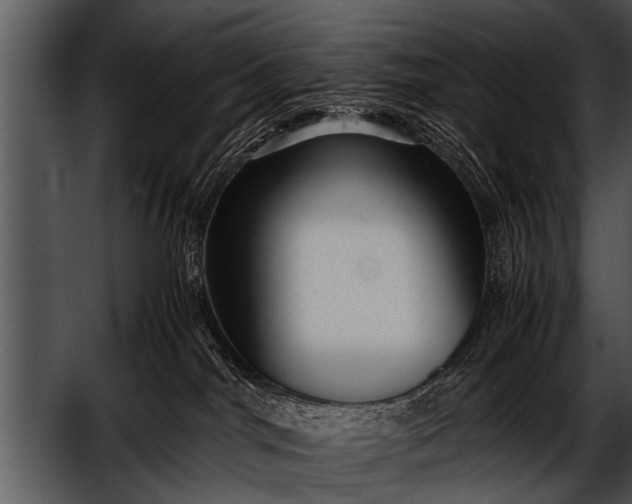 X0000052630044200507160142