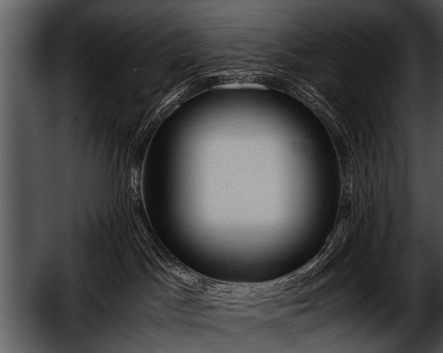 X0000052630045200507160142