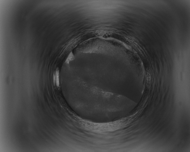 X0000052630046200507160142