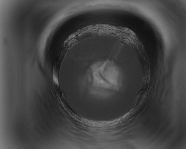 X0000052630047200507160142