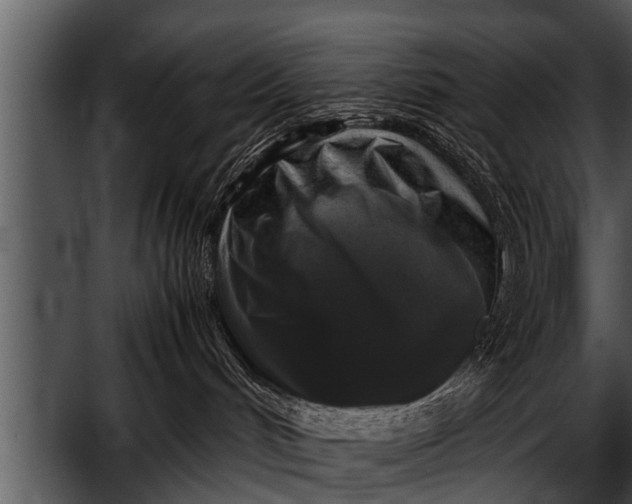 X0000052630048200507160142