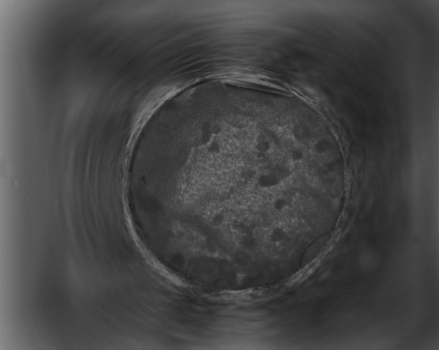 X0000052630049200507160141