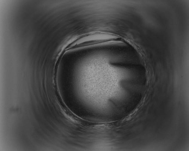 X0000052630050200507160141