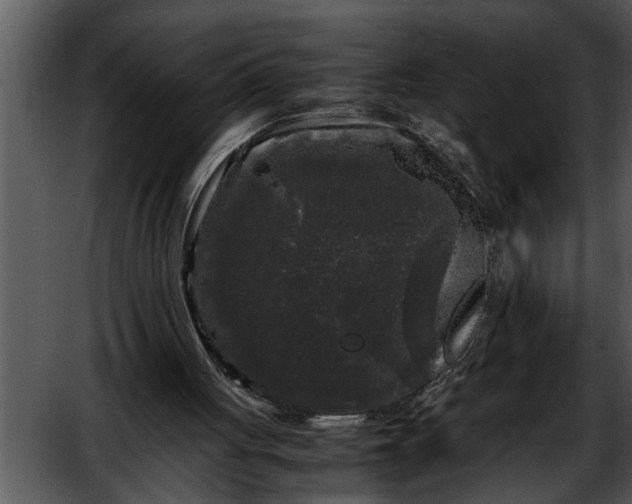 X0000052630051200507160141