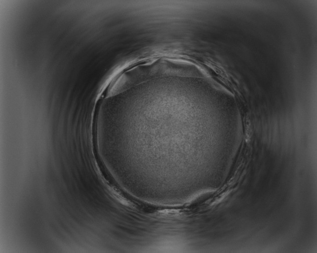 X0000052630052200507160141