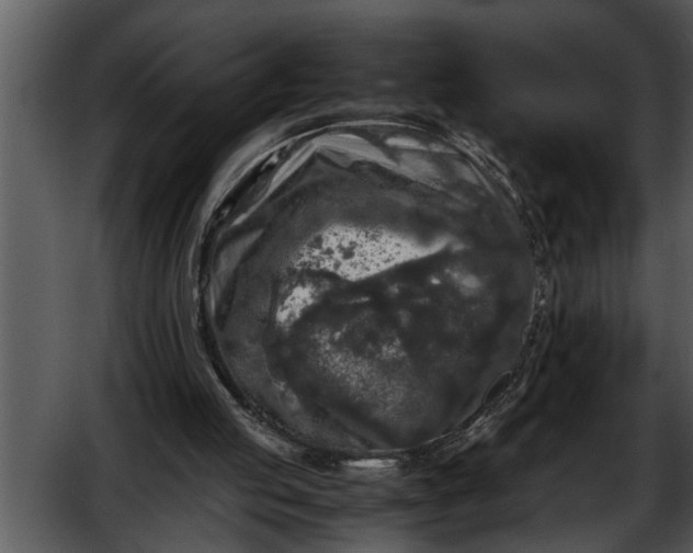 X0000052630053200507160141