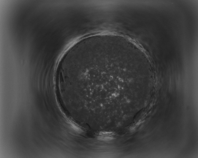 X0000052630055200507160141