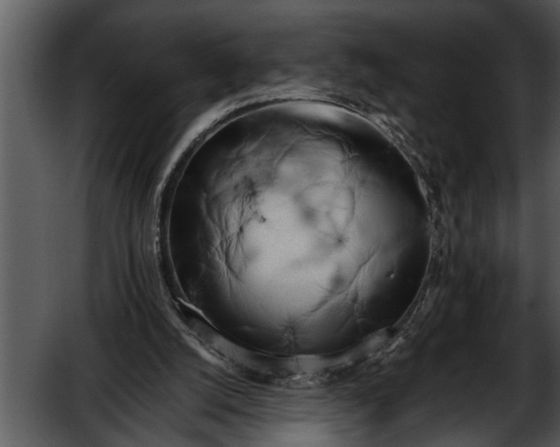 X0000052630056200507160141