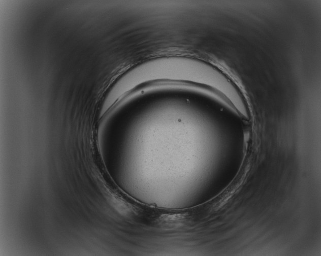 X0000052630057200507160141