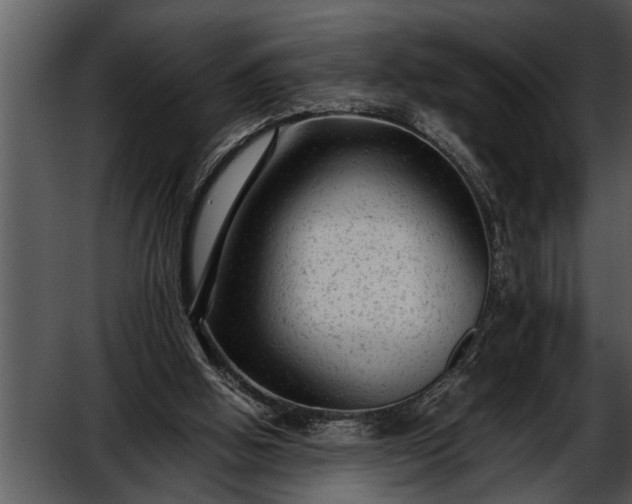 X0000052630058200507160141