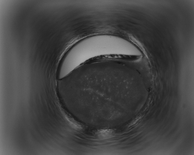 X0000052630059200507160141