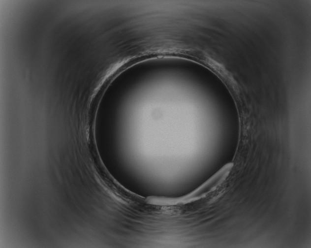 X0000052630060200507160141