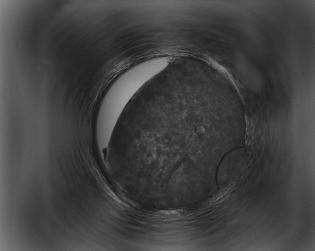 X0000052630061200507160141