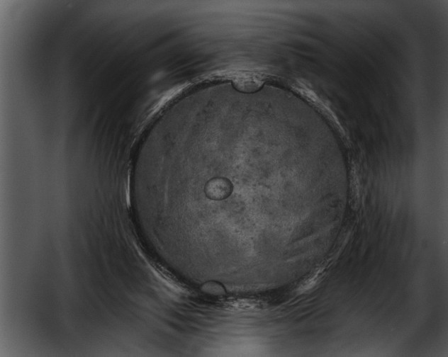 X0000052630062200507160141