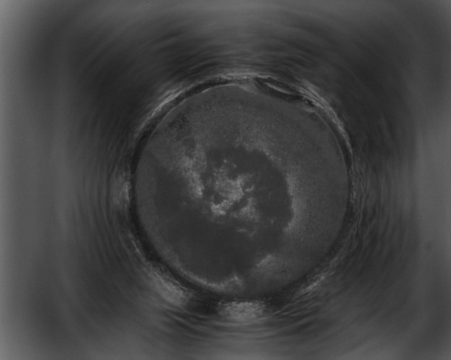 X0000052630063200507160141