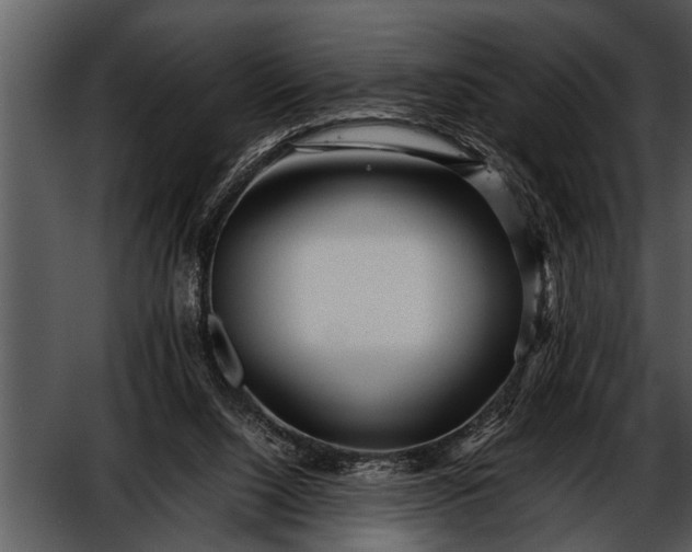 X0000052630064200507160141