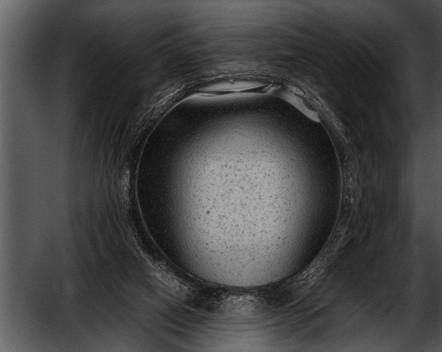 X0000052630066200507160141