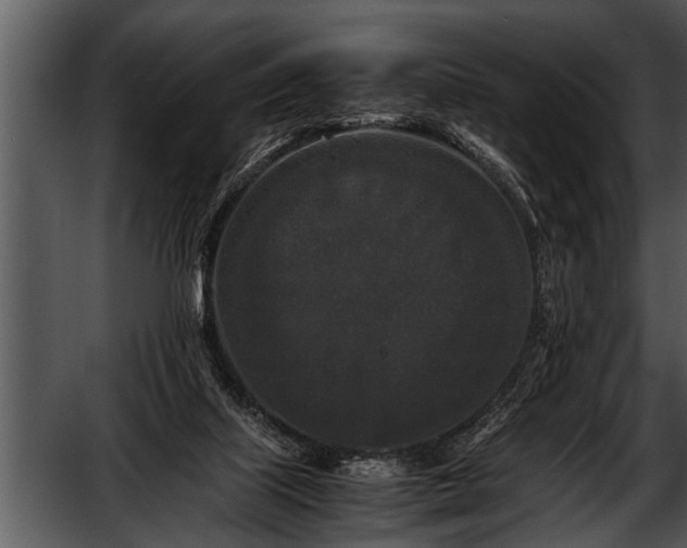 X0000052630067200507160141