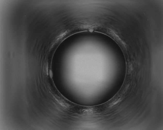 X0000052630068200507160141