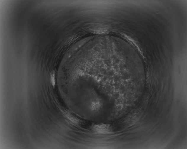 X0000052630069200507160141