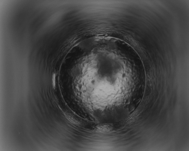 X0000052630070200507160141