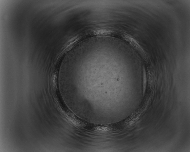 X0000052630071200507160141